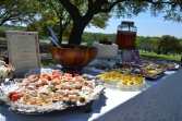 THE SPREAD: the spread consisted of open-faced Danish sandwiches called "Canapes" that the bride's maternal grandmother made, strawberry inspired salad, deviled eggs and one YUMMY strawberry cake!